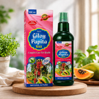 Maa Ayurveda Giloy Papita Ras