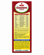 MAA Ayurveda Charamrog Syrup