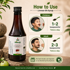 Maa Ayurveda Livmaa-DS Syrup