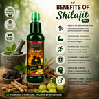Maa Ayurveda Shilajit Ras