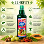 Maa Ayurveda Giloy Papita Ras