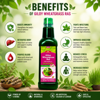 Maa Ayurveda Giloy Wheatgrass Ras