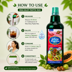 Maa Ayurveda Giloy Papita Ras